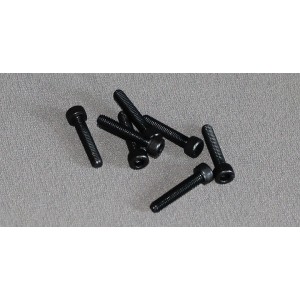 Cylinderhoved M 5 * 25 mm